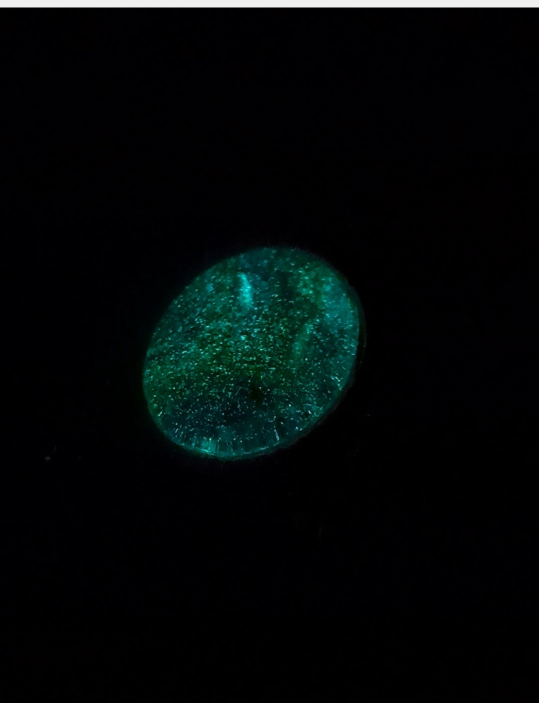 Turtle Glow 1001