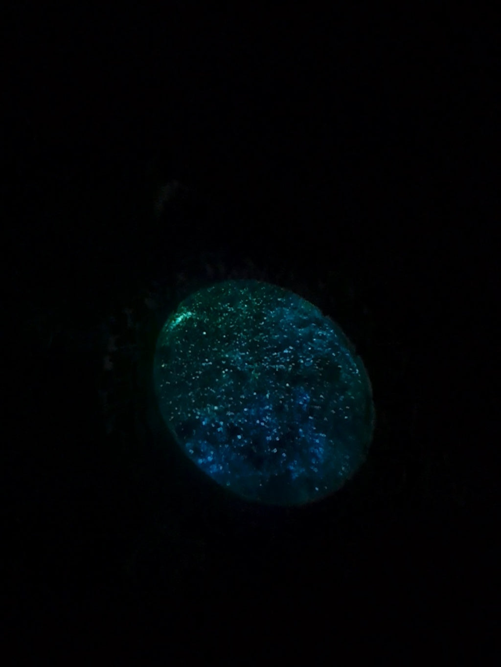 Turtle Glow 1002