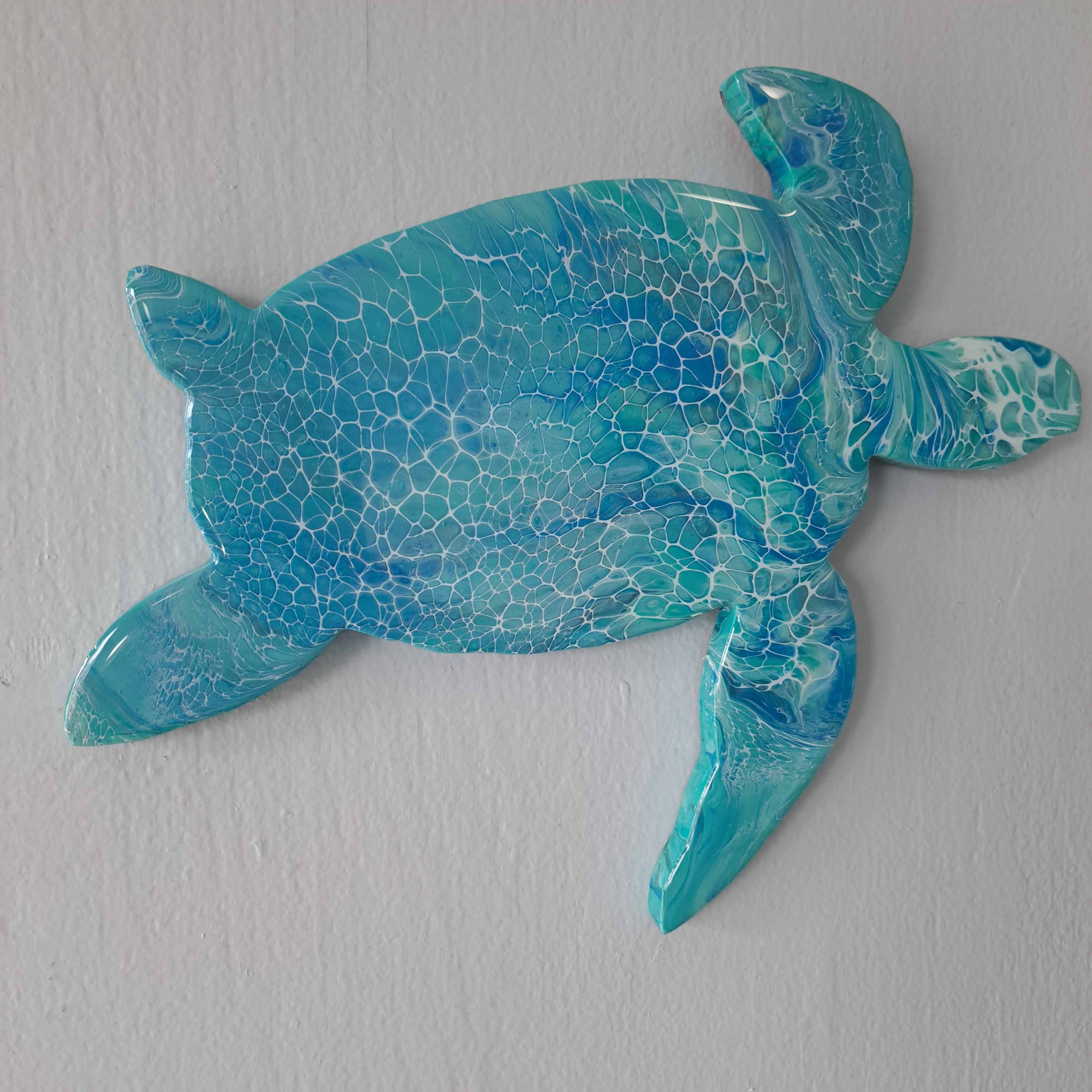 Turtle Swimming #2526