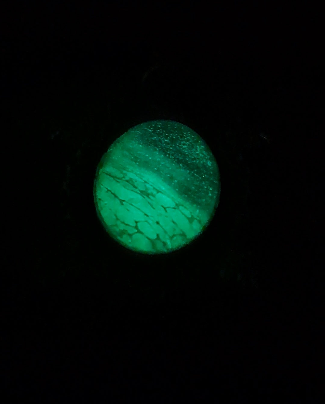 Turtle Glow 1003