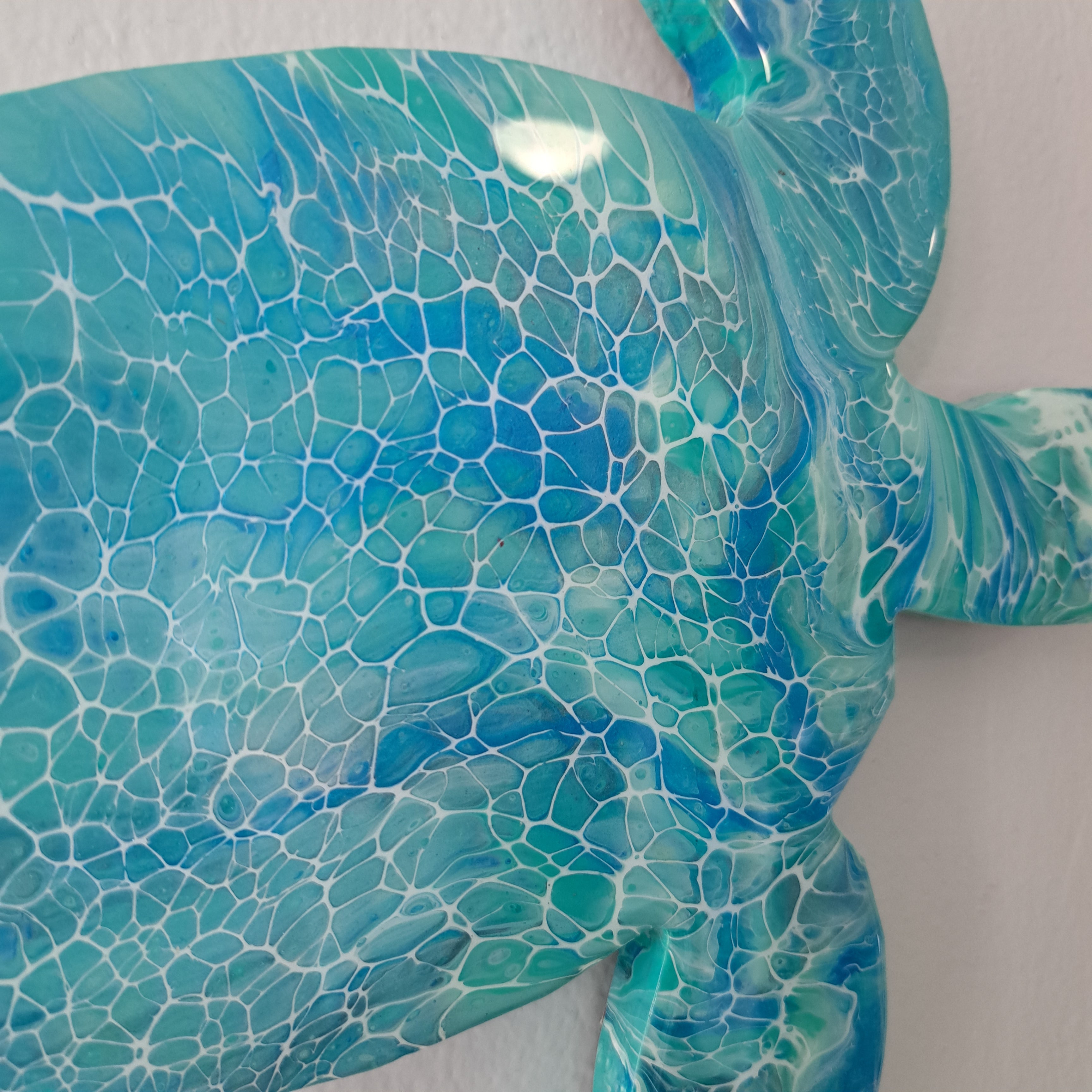 Turtle Swimming #2526